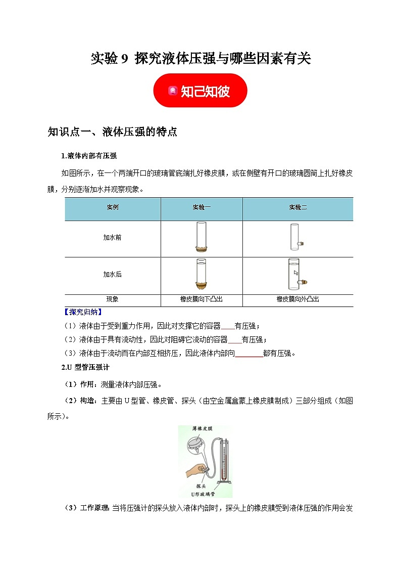 中考物理总复习实验9 探究液体压强与哪些因素有关（原卷版）第1页