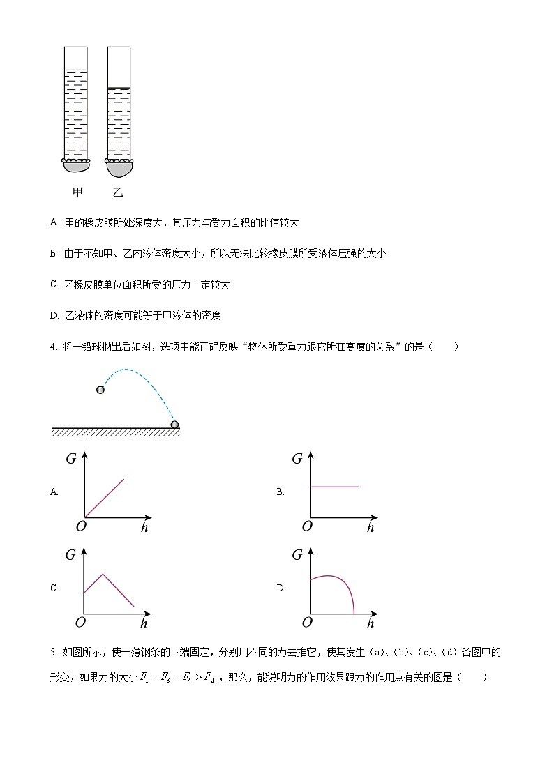 广东省广州市黄埔广附教育集团2022-2023学年八年级下学期期中物理试题（含答案）第2页