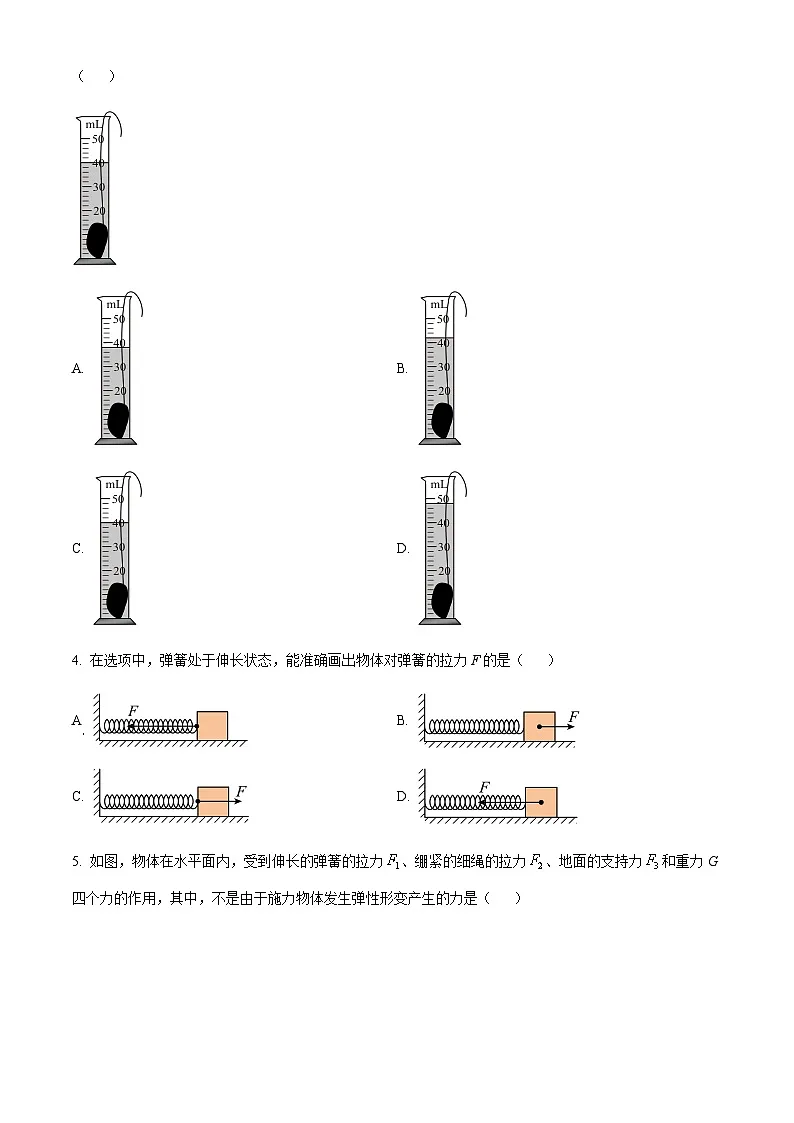 广州市执信中学2023-2024学年八年级下学期期中物理试题（含答案）第2页