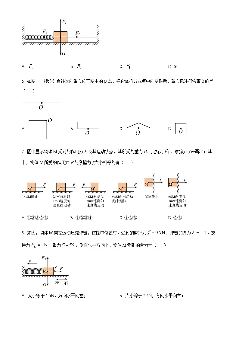广州市执信中学2023-2024学年八年级下学期期中物理试题（含答案）第3页