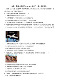 江夏、黄陂、蔡甸区2024-2025学年上学期期中八年级物理试题（word版含答案）