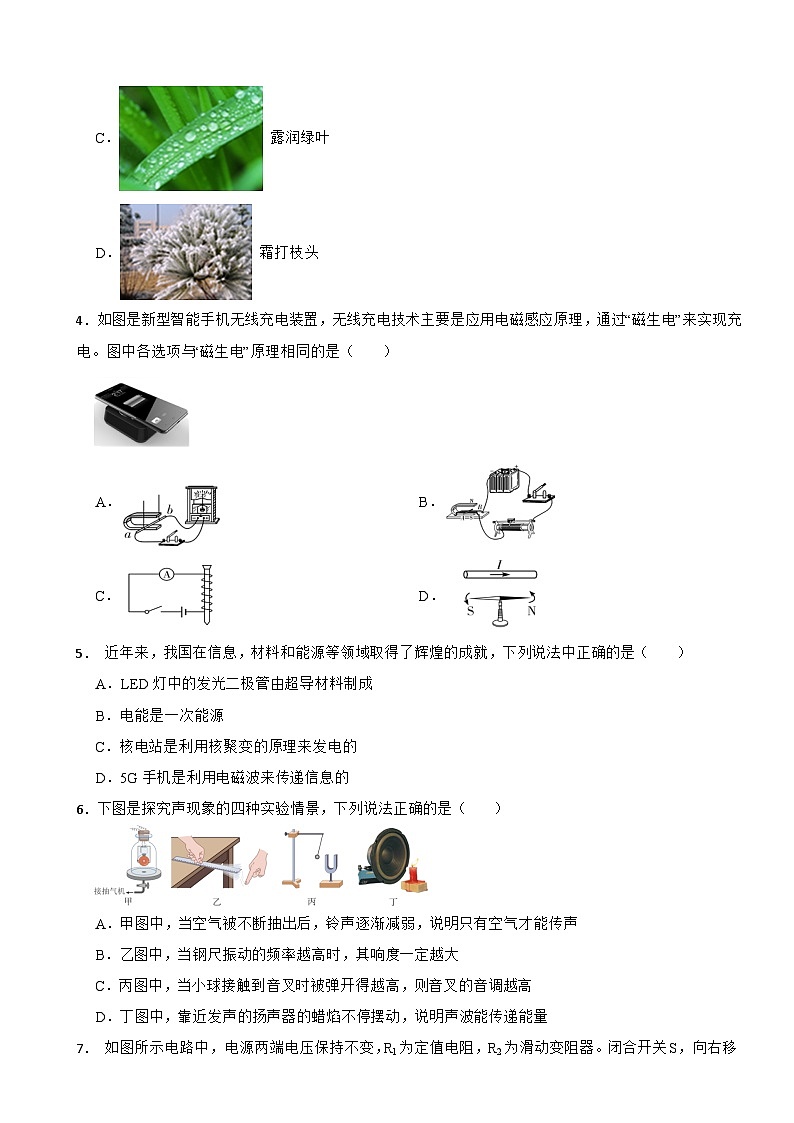 云南省玉溪市2025年九年级下学期月考物理试卷附参考答案第2页