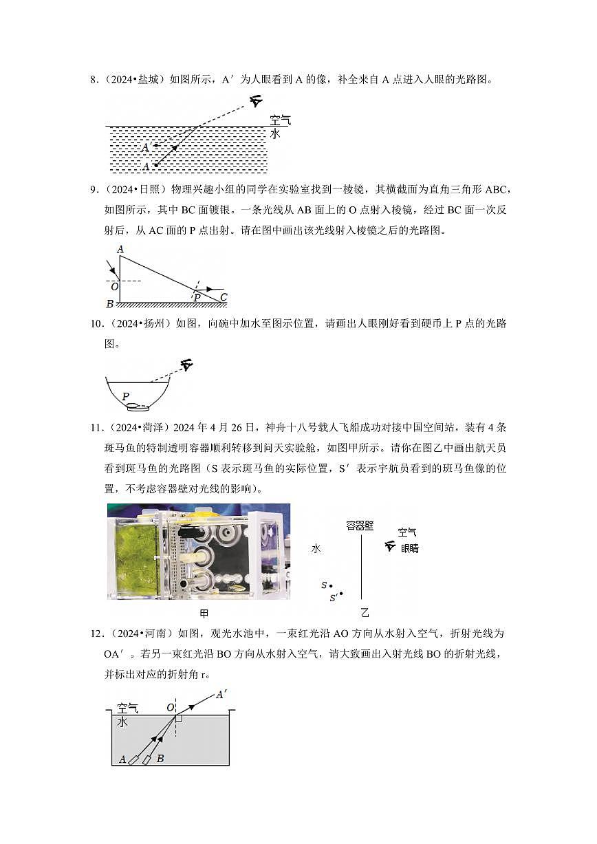 挑战11 作图题（初中物理综合60题）（学生版） 备战2025年中考物理真题《压轴挑战》分类汇编（全国通用）第3页
