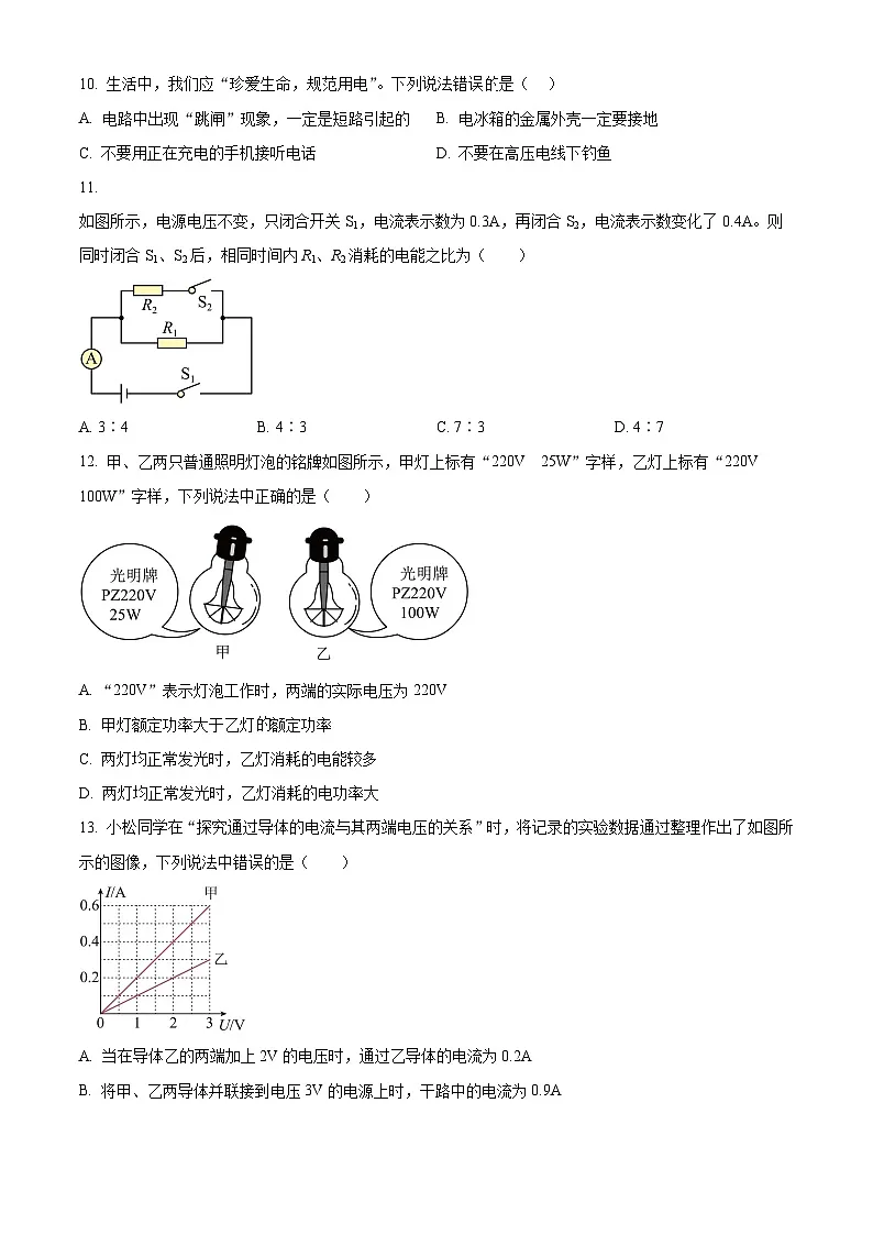 河南省周口市淮阳区2024-2025学年九年级上学期期末物理试题（原卷版+解析版）第3页