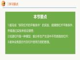 11.1 探究：杠杆的平衡条件（同步课件）2025学年八年级物理全一册（沪科版2024）