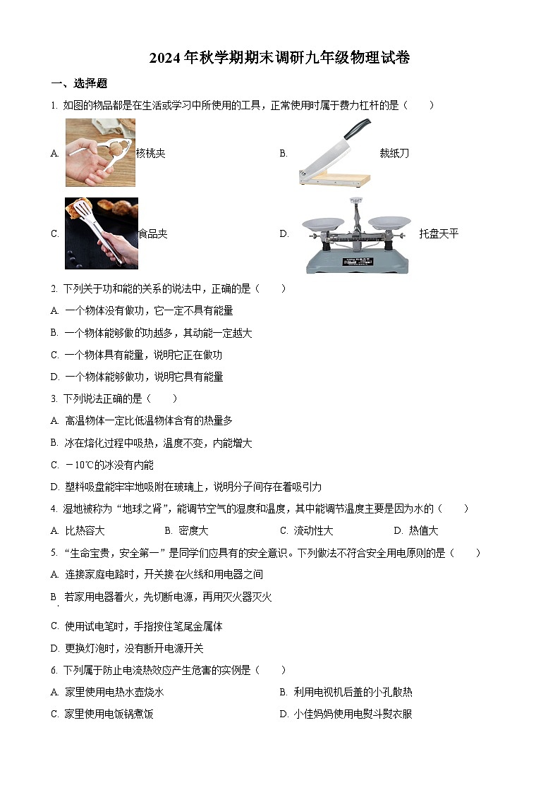 江苏省盐城市大丰区联考2024-2025学年九年级上学期期末物理试题（原卷版+解析版）第1页