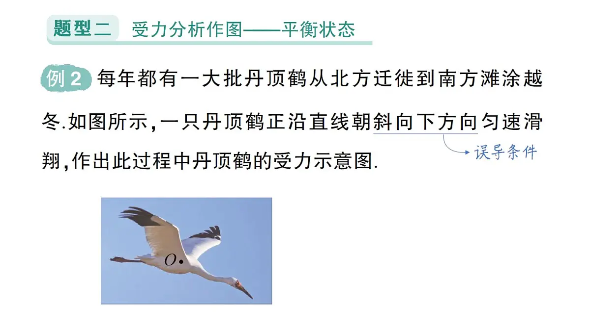 初中物理新人教版八年级下册第八章专题一 力学作图作业课件2025春第6页