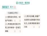 初中物理新人教版八年級下冊第七章第二節(jié) 彈力作業(yè)課件2025春
