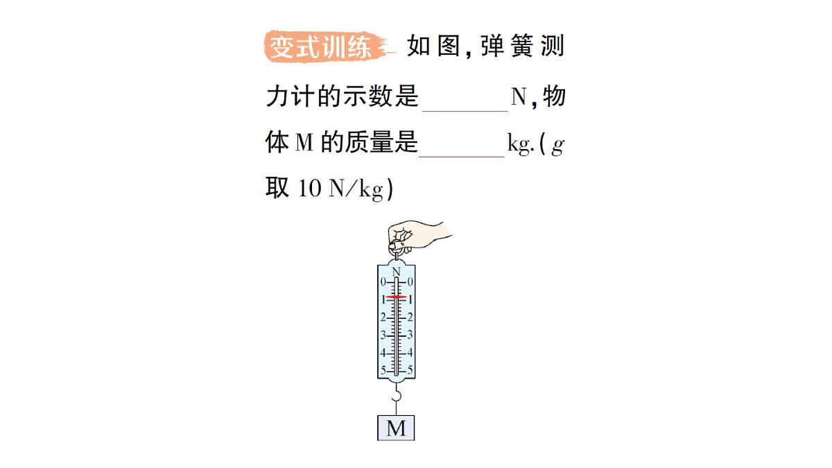 初中物理新人教版八年级下册第七章第三节 重力作业课件2025春第8页