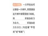 初中物理新人教版八年級(jí)下冊第八章第四節(jié) 同一直線上二力的合成作業(yè)課件2025春
