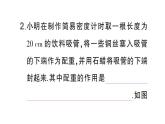 初中物理新人教版八年級(jí)下冊(cè)第十章第四節(jié) 跨學(xué)科實(shí)踐：制作微型密度計(jì)作業(yè)課件2025春