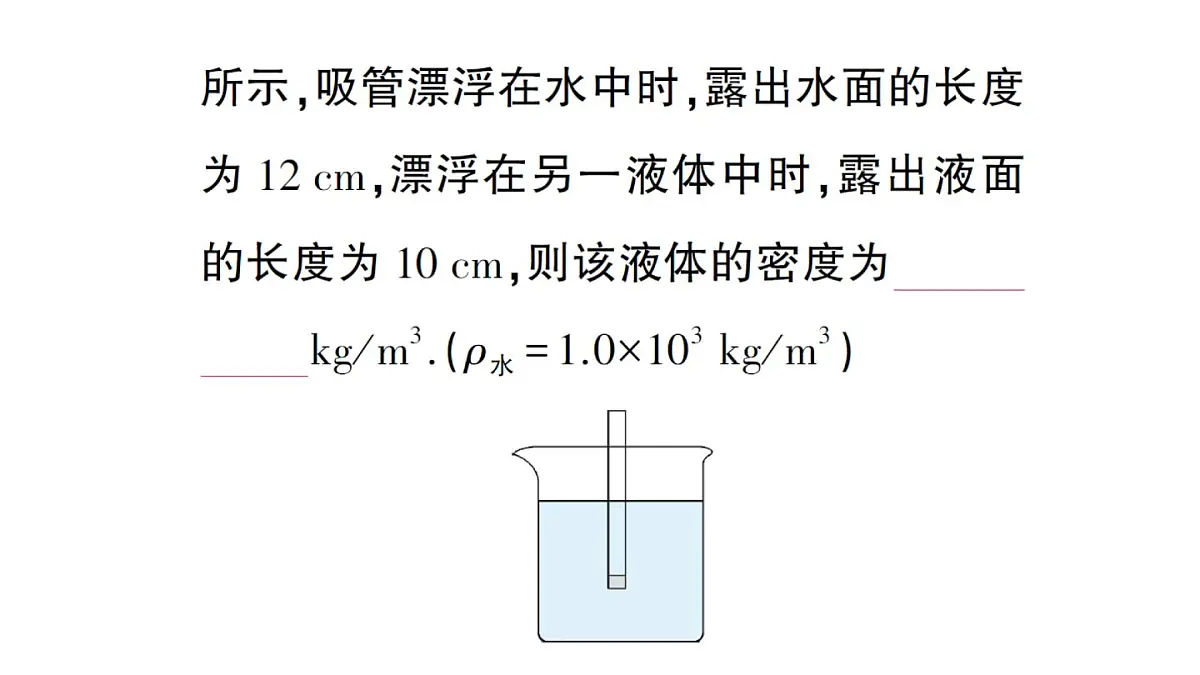 初中物理新人教版八年级下册第十章第四节 跨学科实践：制作微型密度计作业课件2025春第4页
