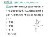 初中物理新人教版八年級下冊第十二章專題四 杠桿動態(tài)平衡的分析作業(yè)課件2025春
