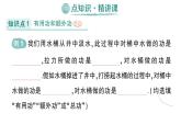 初中物理新人教版八年級下冊第十二章第四節(jié) 機械效率作業(yè)課件2025春