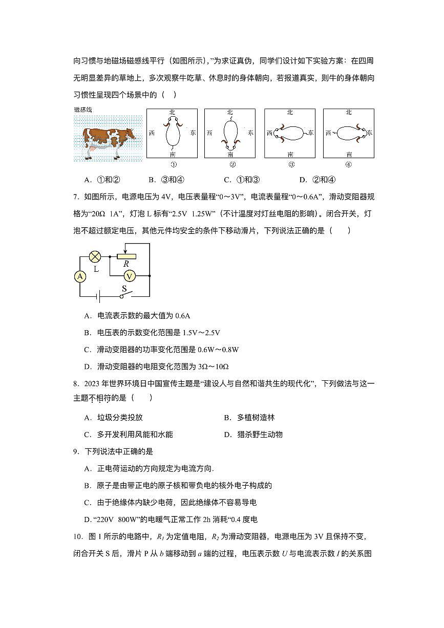 江苏省盐城市射阳县几校联考2024-2025学年九年级下学期3月月考 物理试题（pdf版）第2页