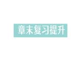 初中物理新人教版八年級下冊第七章章末復(fù)習(xí)提升作業(yè)課件2025春