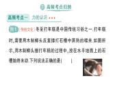初中物理新人教版八年級下冊第七章章末復(fù)習(xí)提升作業(yè)課件2025春