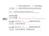 初中物理新人教版八年級下冊第八章章末復(fù)習(xí)提升作業(yè)課件2025春