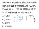 初中物理新人教版八年級下冊第十二章專題五 簡單機械的綜合計算作業(yè)課件2025春