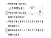 初中物理新滬科版八年級全冊第九章專題四 密度、壓強、浮力的綜合分析與計算作業(yè)課件2025春