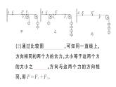 初中物理新滬科版八年級(jí)全冊(cè)第七章第二節(jié) 力的合成作業(yè)課件2025春