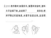初中物理新滬科版八年級全冊第八章第三節(jié) 空氣的“力量”作業(yè)課件2025春