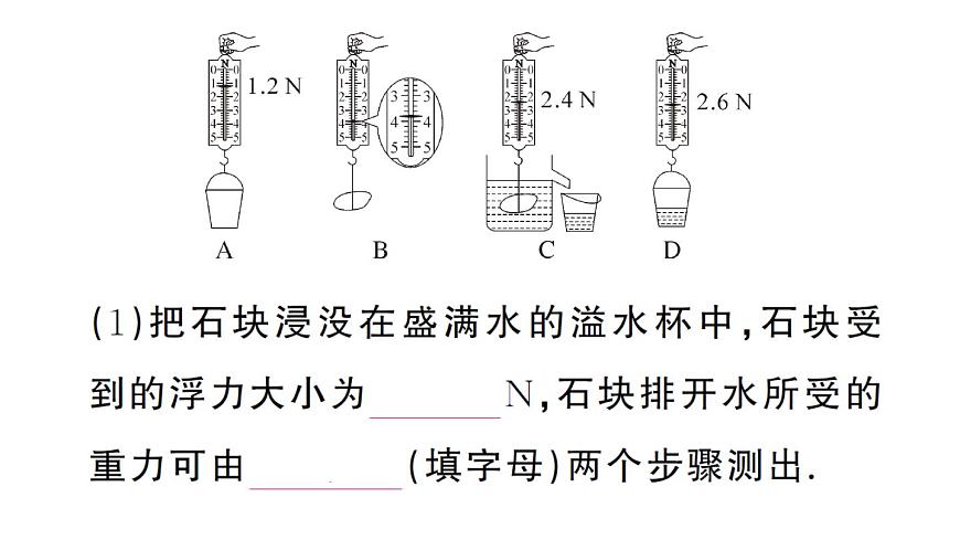 初中物理新沪科版八年级全册第九章第三节 阿基米德原理作业课件2025春第3页