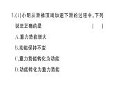 初中物理新滬科版八年級全冊第十章實踐 探究游樂設(shè)施中的功與能作業(yè)課件2025春