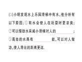 初中物理新滬科版八年級全冊第十章實踐 探究游樂設(shè)施中的功與能作業(yè)課件2025春