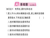 初中物理新滬科版八年級全冊第十一章第三節(jié)第一課時 認(rèn)識機械效率作業(yè)課件2025春