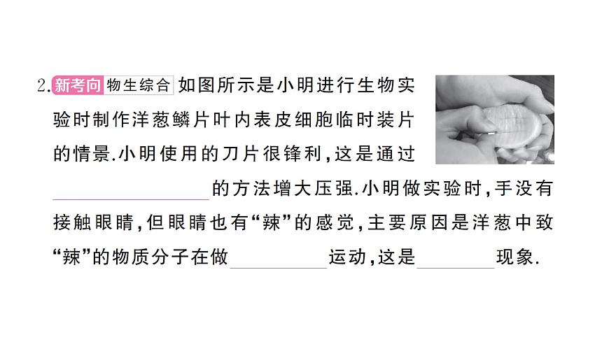 初中物理新沪科版八年级全册期末综合检测卷(一)作业课件2025春第3页