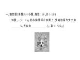 初中物理新滬科版八年級全冊第九章綜合訓(xùn)練作業(yè)課件2025春