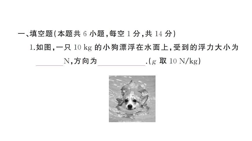 初中物理新沪科版八年级全册第九章综合训练作业课件2025春第2页