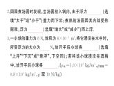 初中物理新滬科版八年級全冊第九章綜合訓(xùn)練作業(yè)課件2025春
