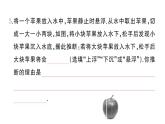 初中物理新滬科版八年級全冊第九章綜合訓(xùn)練作業(yè)課件2025春