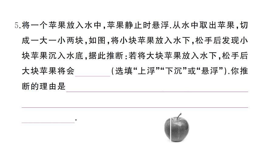 初中物理新沪科版八年级全册第九章综合训练作业课件2025春第5页