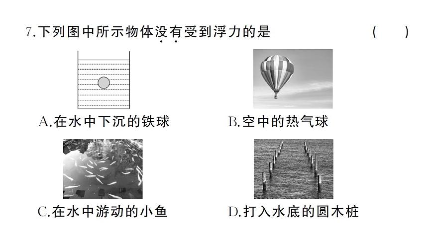 初中物理新沪科版八年级全册第九章综合训练作业课件2025春第8页
