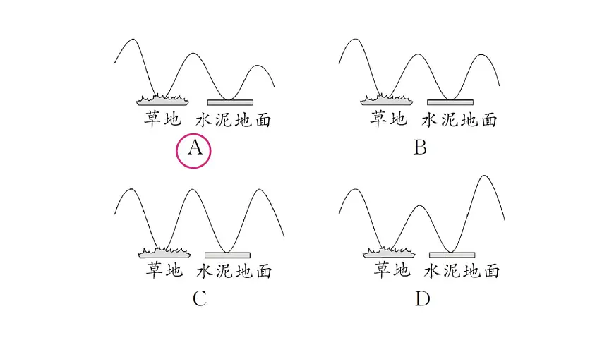 初中物理新沪科版八年级全册第十章中考新考向 跨学科实践题作业课件2025春第5页