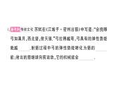 初中物理新滬科版八年級全冊第十章綜合訓(xùn)練作業(yè)課件2025春