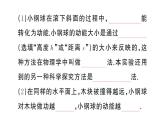 初中物理新滬科版八年級全冊第十章重點實驗突破作業(yè)課件2025春