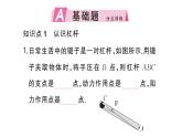 初中物理新滬科版八年級(jí)全冊(cè)第十一章第一節(jié)第一課時(shí) 杠桿的平衡條件作業(yè)課件2025春