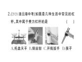 初中物理新滬科版八年級(jí)全冊(cè)第十一章第一節(jié)第二課時(shí) 杠桿的應(yīng)用件作業(yè)課件2025春