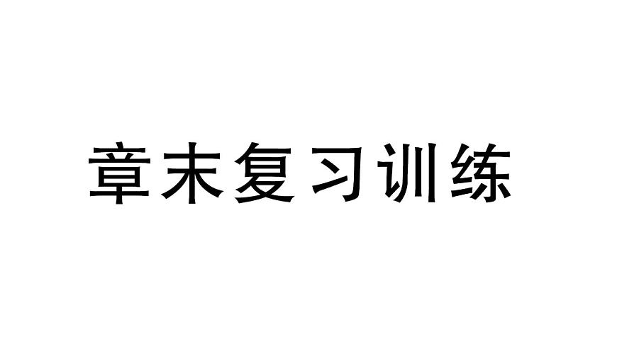 初中物理新沪科版八年级全册第十一章章末复习训练作业课件2025春第1页