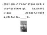 初中物理新滬科版八年級全冊第十二章綜合訓練作業(yè)課件2025春
