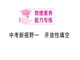 初中物理新滬科版八年級全冊中考新視野一 開放性填空作業(yè)課件2025春