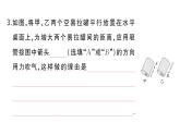 初中物理新滬科版八年級全冊中考新視野一 開放性填空作業(yè)課件2025春