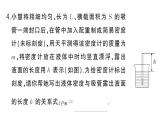 初中物理新滬科版八年級全冊中考新視野二 推導(dǎo)字母表達(dá)式作業(yè)課件2025春