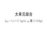 初中物理新滬科版八年級全冊大單元綜合作業(yè)課件2025春