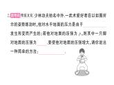 初中物理新滬科版八年級全冊第八章綜合訓(xùn)練作業(yè)課件2025春