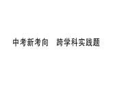 初中物理新滬科版八年級全冊第九章中考新考向 跨學(xué)科實(shí)踐題作業(yè)課件2025春